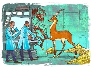 antilope coins