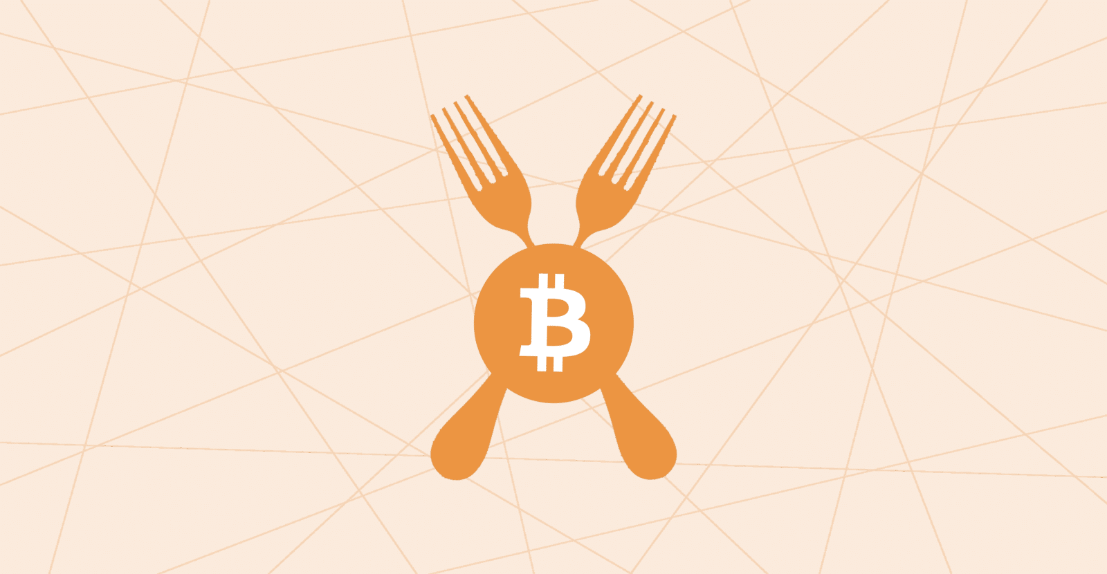 Weiss Ratings: форки Биткоина не решают проблемы