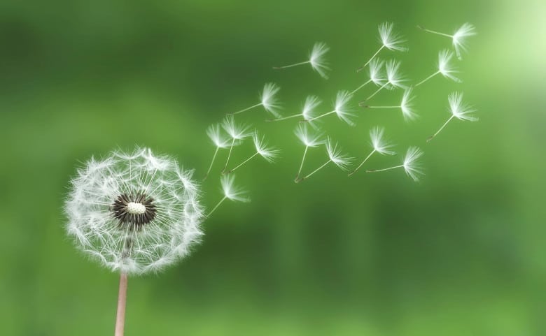Разработчики Bitcoin Core создали прототип алгоритма для совершения неотслеживаемых транзакций