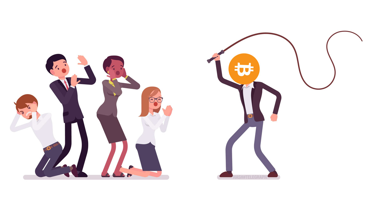 Доминирование биткоина снизилось до 50%. Когда же сезон альткоинов?