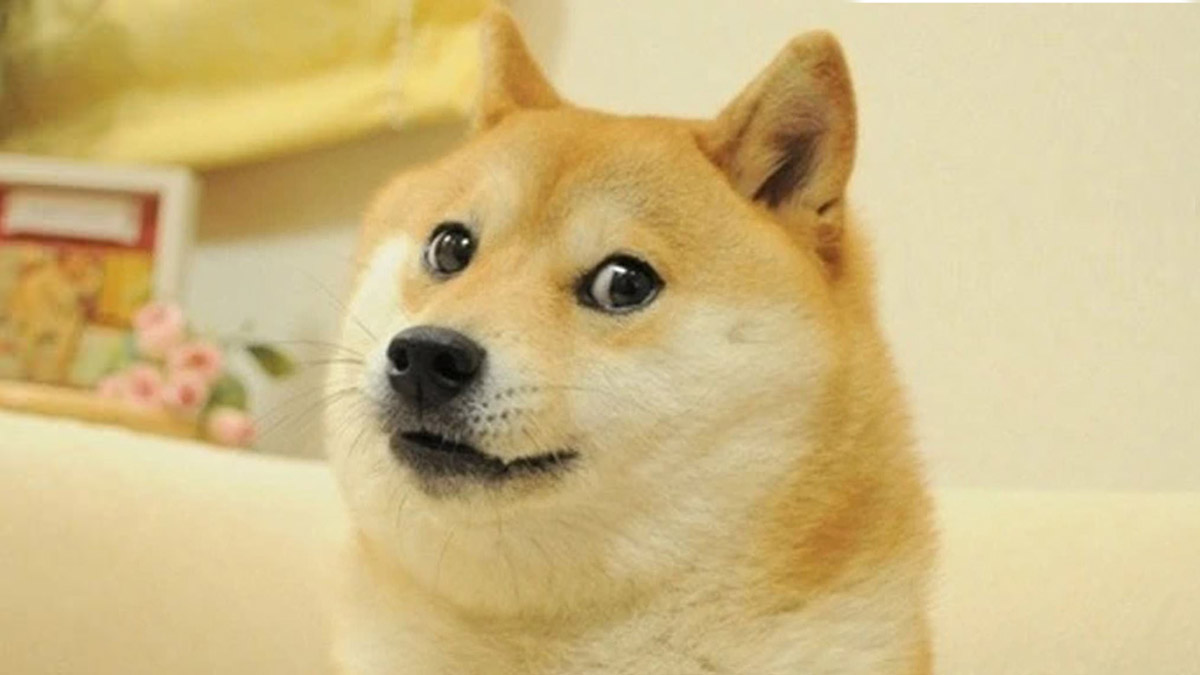 Акции CleanCore обвалились на 60% из-за планов инвестировать $175 млн в Dogecoin