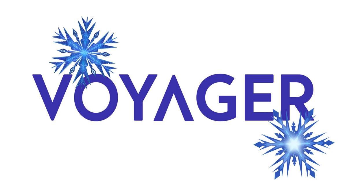 Binance US выкупает активы Voyager Digital