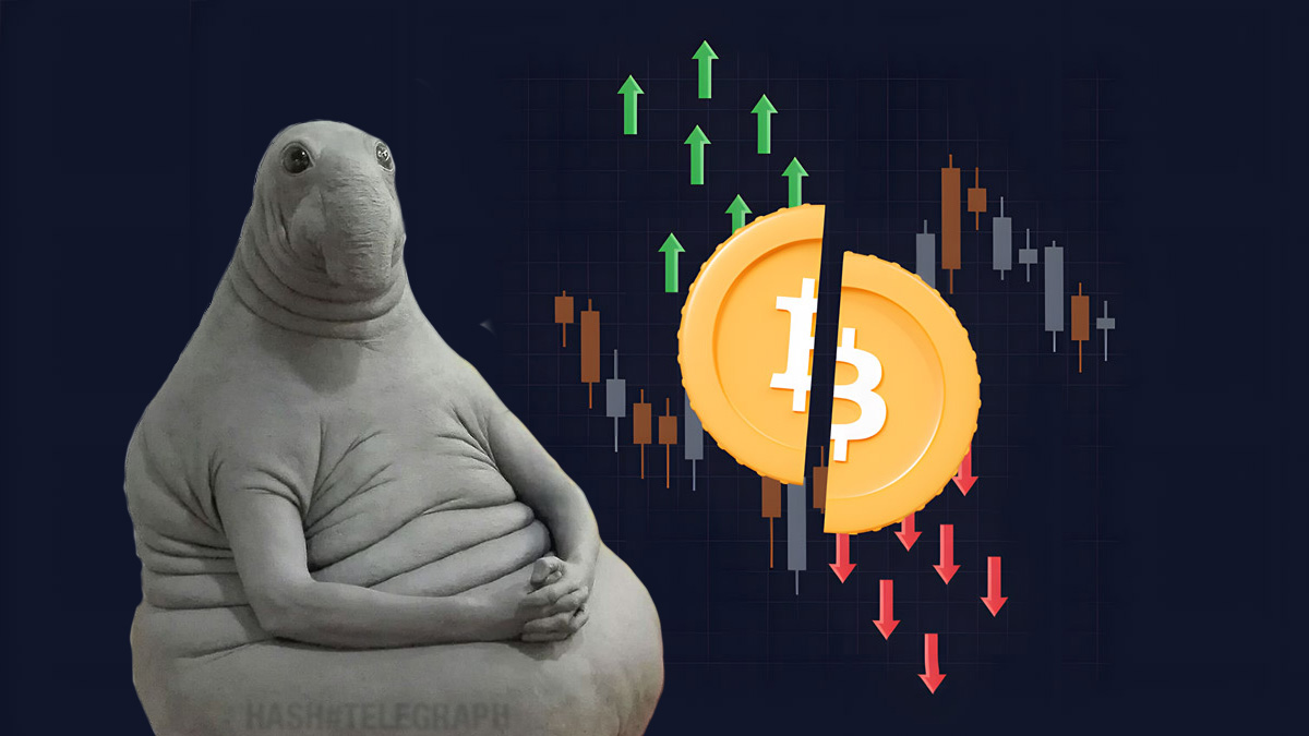 Эффект халвинга оценим через год — Bitwise