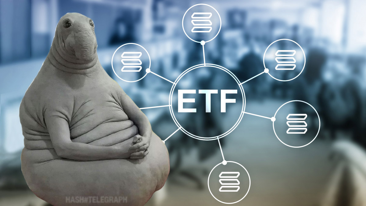 Franklin Templeton и Fidelity подали обновленные заявки на Solana-ETF — одобрение через 2-4 месяца