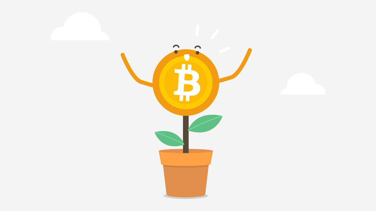 Новая стратегия от QCP Capital: как заработать на росте биткоина выше $70 000